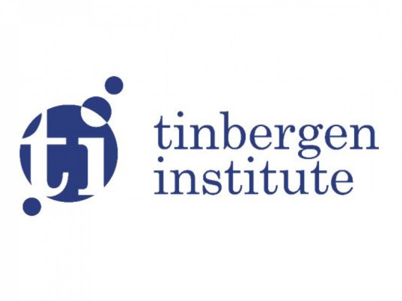 Tinbergen Institute Summer School Program